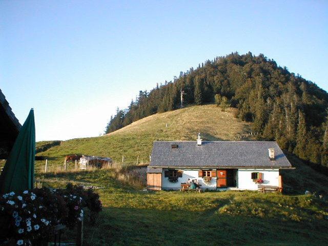 Appartements Ferienwohnungen Alpenblick Faistenau Exteriér fotografie